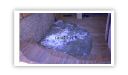 lighting 0180.JPG